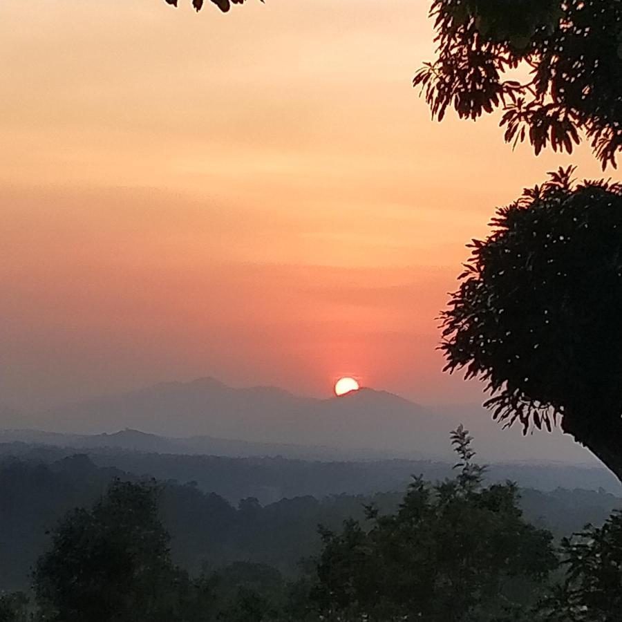 Forestdale Coorg Virajpet Exterior photo