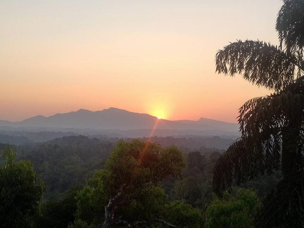 Forestdale Coorg Virajpet Exterior photo